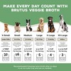 Brutus Bone Broth Vegan Superfood Broth with Salmon Dry Dog Food - 32oz - 4 of 4