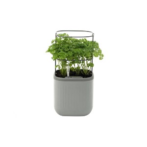Vego Garden Self-Watering Mini Rectangular Indoor Outdoor Planter Pot with Trellis 7"x7"x14" - 1 of 4