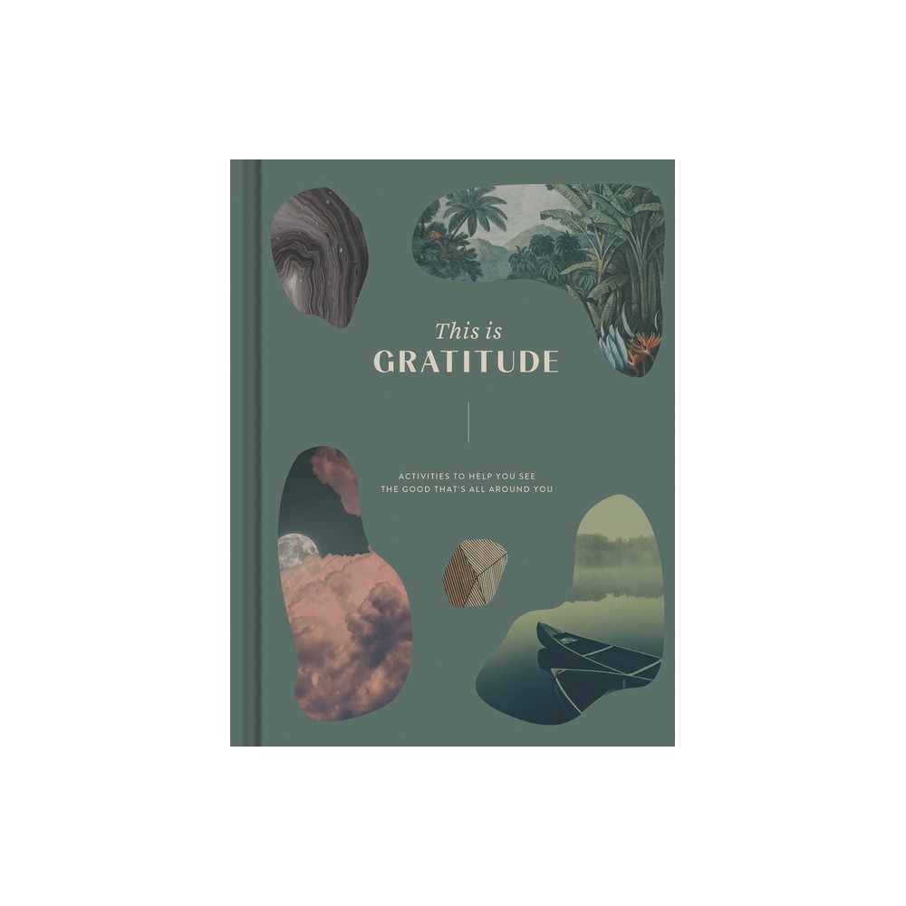This Is Gratitude - by Compendium (Hardcover)