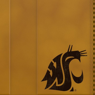 washington state cougars