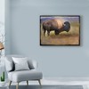 Trademark Fine Art -Chris Vest 'Bison Portrait Mountains' Canvas Art - 3 of 3