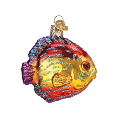 Old World Christmas Blown Glass Ornament for Christmas Tree, Discus Fish