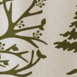 olive branch enchanted woods
