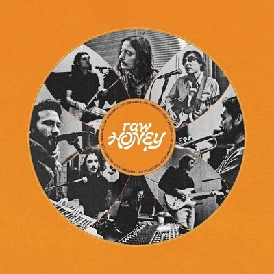 Drugdealer - Raw Honey (CD)