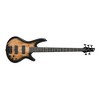 Ibanez GSR205SM 5-String Electric Bass Guitar (Right-Hand, Natural Gray Burst) - 2 of 2