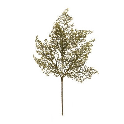 Cedar Spray (Set of 6)