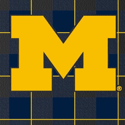 michigan wolverines