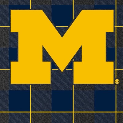 michigan wolverines