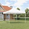 Pop Up Canopy Tent, 10 x 10 Ft Commercial Instant Shade Canopy, Easy Up Outdoor Portable Shelter for Events, Parties, Camping - 3 of 4