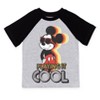 Disney Mickey Mouse Goofy Donald Duck 3 Pack T-Shirts Toddler to Big Kid - 4 of 4