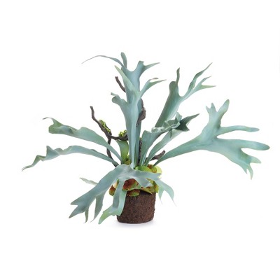 Plum & Post Staghorn Fern Drop-In 22"