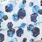 blue geometry