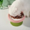Fairyland™ - Elevated Ceramic Cat Bowl – Anti-Slip Raised Pet Feeder for Cats & Small Dogs, Ice Cream Style Design - 3 of 4
