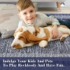 Modern Area Rug Washable Rug for Living Rooms,  Soft Non Shedding Faux Wool Floor Covering, Low Pile Thin Foldable Mat - 2 of 4