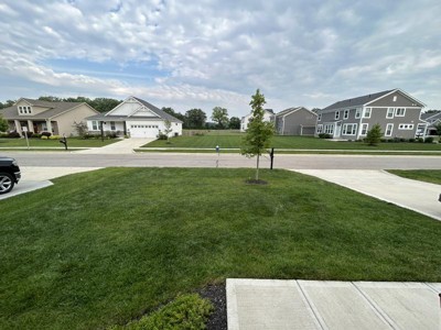 Guest review image 2 of 2, zoom in