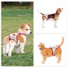 Unique Bargains Dog Diapers for Female Dog Period Washable Reusable with Adjustable Suspender - 4 of 4