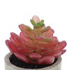 Unique Bargains Artificial Plants Plastic Pink 2.36"x2.36"x2.76" 1 Pcs - 4 of 4