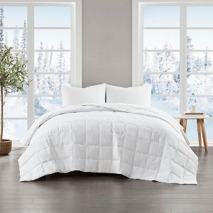 NicBex Twin/King Size Goose Feather and Down Filling All Seasons Blanket,Fuzzy Cozy Blanket Microfiber for Bed Sofa,White - 1 of 4