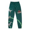 Jurassic Park Puff Print Logo & Velociraptors Adult Green Tie-Dye Sweatpants - 4 of 4