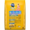 Pedigree Chicken, Rice and Vegetable Flavor Puppy Dry Dog Food - image 2 of 4