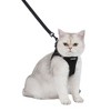 Voyager Step-In Air Cat Leash Harness Set - All Weather Mesh, Step In Vest Harness for Small and Large Cats by Best Pet Supplies - 4 of 4