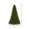 Vickerman Artificial Douglas Fir Christmas Tree - 3 of 4