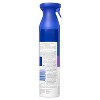 Zevo Fly, Gnat & Fruit Fly Flying Insect Killer Spray - 10oz - 2 of 4