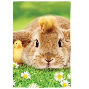 Evergreen Bunny and Duckling Lustre Garden Flag 12 x 18 Inches Indoor Outdoor Decor - 1 of 1