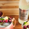Fever Tree Light Ginger Beer - Premium Quality Mixer - Refreshing Beverage for Cocktails & Mocktails 200ml Bottles - 3 of 4