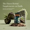 Gaia Herbs Ashwagandha Root - Supports a Healthy Response to Stress, the Immune System, and Restful Sleep - 3 of 4
