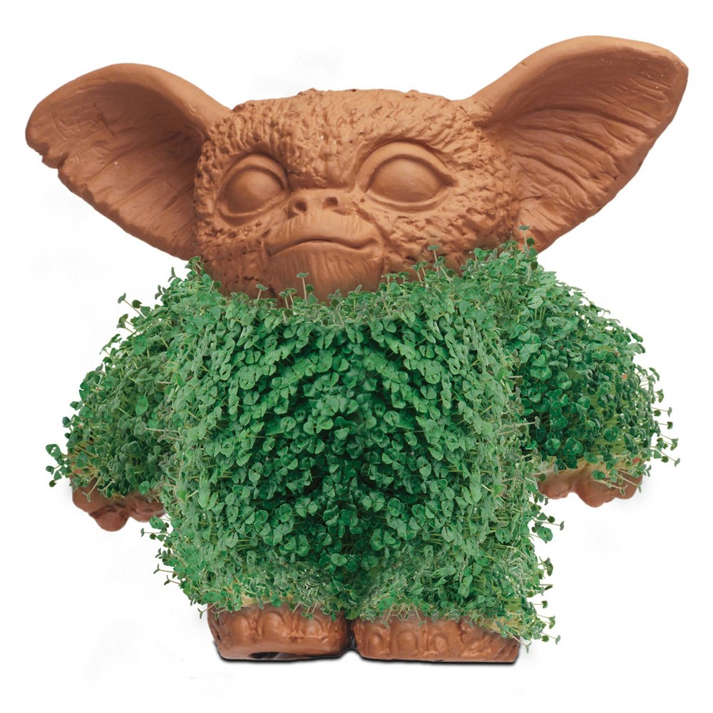 Chia Gizmo