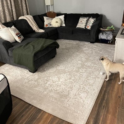 Reflection RFT664 Power Loomed Area Rug - Light Grey/Cream - 8'9"x11'9" - Safavieh.