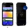 Screen Skinz Connecticut Huskies (UCONN) Privacy Screen Protector - 3 of 4