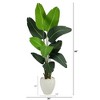 Nearly Natural 5.5-ft Travelers Palm Artificial Tree in White Planter - 2 of 4