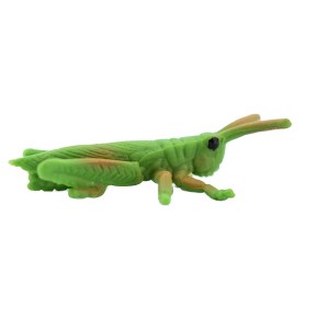 Collectible Wildlife Gifts | Grasshopper, Rubber Insect, Realistic Toy Figure, Model, Replica, Kids, Educational, Gift,     2"    CH400 BB108 - 1 of 4