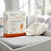 McKesson Toddler Training Pants, Heavy Absorbency - 2T to 3T, 16 to 34 lbs - 4 of 4