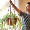 Bloem 12" Dura Cotta Round Resin Self-Watering Hanging Basket Planter with Macrame Cord - 4 of 4