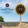Lola Products - The Original- Pot & Pan Brush, Heavy Duty Brass Wire & Tampico Bristles, Handle Made from Sustainable Birch Wood for Cleaning, 6 Pack - 4 of 4