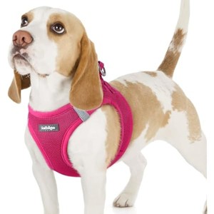 rabbitgoo Small Dog Harness, Step-in Soft Mesh Puppy Vest with Safety Buckle, Breathable Reflective Pet Harness for Small Sized Dogs, Rose Red M - 1 of 1