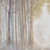 Gulches Triptych 3-Piece Canvas Wall Art Set - Serene Forest Landscape Decor - 4 of 4