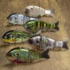 Catch Co Mike Bucca's Baby Bull Gill Swimbait 3.75" 3/4 oz - Baby Bass - 4 of 4