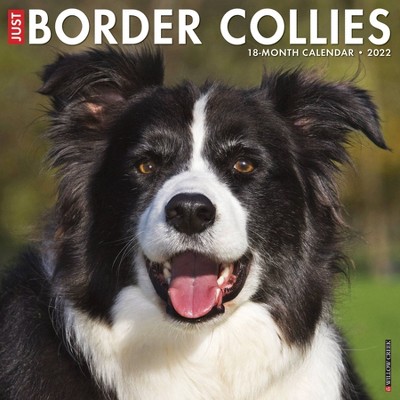2022 Wall Calendar Just Border Collies- Willow Creek Press