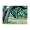 24"x32" Louisiana Oaks by Monte Nagler: Trademark Fine Art, Giclee Canvas Artwork - 3 of 4