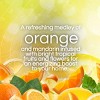 Air Wick Scented Oil Pure Sparkling Air Freshener Refill - Citrus - 1.34 fl oz/2pk - 4 of 4