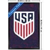 Trends International US Soccer - Logo Variant 25 Framed Wall Poster Prints - 3 of 4