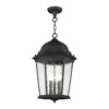 Livex Lighting Hamilton 3 - Light Pendant in  Textured Black - 4 of 4