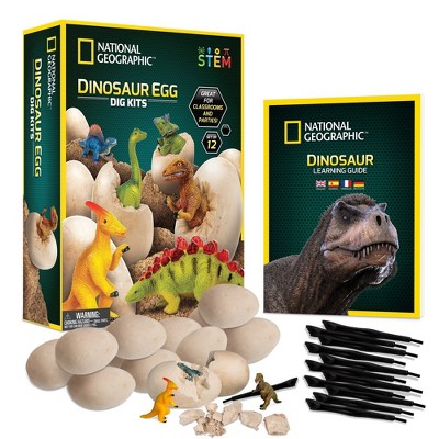 NATIONAL GEOGRAPHIC Dinosaur Egg Dig Kits - 12 Dino Egg-Shaped Dig Bricks with Dinosaur Figures Inside