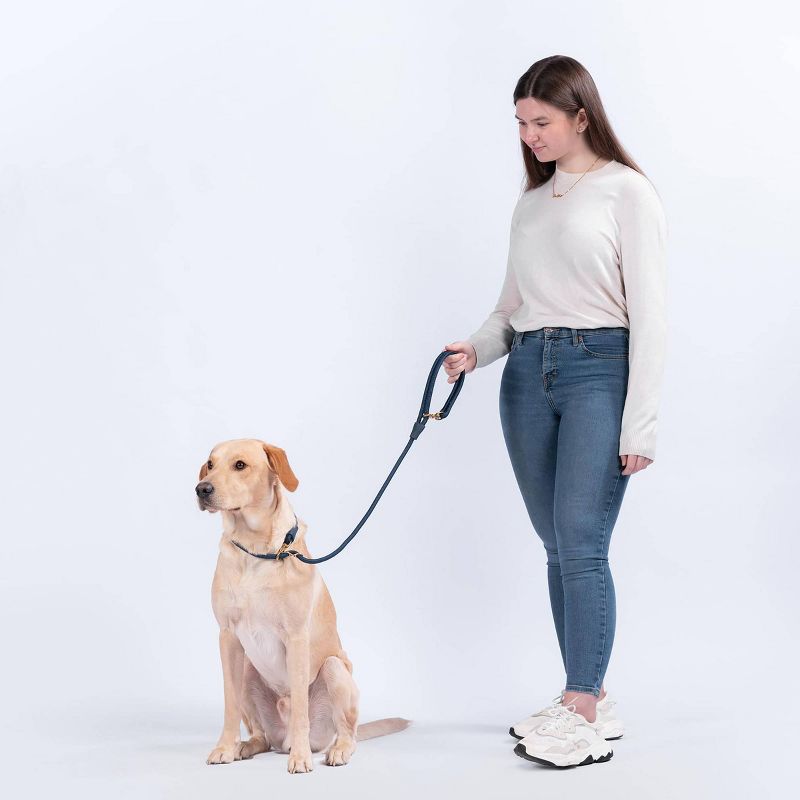AWOO City Multifunctional Recycled Dog Leash - 5ft, 6 of 10