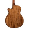 Luna Guitars Vista Eagle 12-String Acoustic-Electric Guitar - 2 of 4