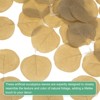Unique Bargains Durable Multipurpose Decorative Artificial Eucalyptus Petals 50 Pcs - 2 of 4